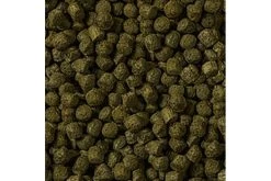 Sera Cichlid Green XL Nature, 3.800 Ml -Aquariumladen = das Beste. 00217 sera cichlid green xl 3800 ml 2