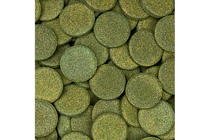 Sera Wels-Tabs XXL Nature, 250 Ml 4 Sera Wels-Tabs XXL Nature, 250 Ml – Bild 2