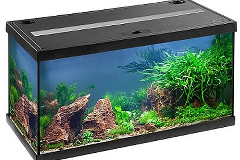 EHEIM Aquastar 54 LED Schwarz - Aquarienset 3 EHEIM Aquastar 54 LED Schwarz - Aquarienset