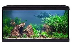 EHEIM Aquastar 54 LED Schwarz - Aquarienset 11 EHEIM Aquastar 54 LED Schwarz - Aquarienset -Aquariumladen = das Beste. 0340645 EHEIM aquastar 54 LED schwarz 05