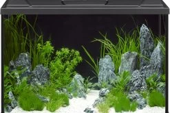 EHEIM AquaproLED 84 Schwarz - Aquarienset -Aquariumladen = das Beste. 0340698 EHEIM aquaproLED 84 schwarz 02