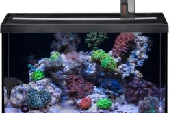 EHEIM Aquastar 63 Marine Schwarz - Aquarienset