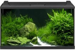 EHEIM AquaproLED 126 Schwarz - Aquarienset