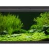EHEIM AquaproLED 180 Schwarz - Aquarienset 2 EHEIM AquaproLED 180 Schwarz - Aquarienset -Aquariumladen = das Beste. 0341098 EHEIM aquaproLED 180 schwarz 01