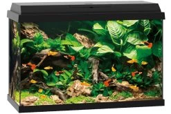 Juwel Primo 70 Schwarz Aquarium-Set 8 Juwel Primo 70 Schwarz Aquarium-Set -Aquariumladen = das Beste. 13j25370 Juwel Primo 70 schwarz 3