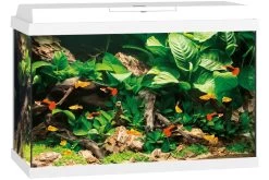 Juwel Primo 70 Weiß Aquarium-Set -Aquariumladen = das Beste. 13j25370 Juwel Primo 70 weiss 2