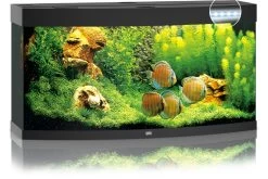 Juwel Vision 260 LED Schwarz Aquarium-Set 10 Juwel Vision 260 LED Schwarz Aquarium-Set -Aquariumladen = das Beste. 13j6350 JUWEL Vision 260 LED schwarz Aquarium 2