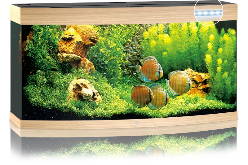 Juwel Vision 260 LED Helles Holz Aquarium-Set 4 Juwel Vision 260 LED Helles Holz Aquarium-Set – Bild 2