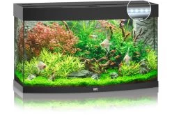 Juwel Vision 180 LED Schwarz Aquarium-Set -Aquariumladen = das Beste. 13j9350 Juwel Vision 180 LED schwarz Aquarium 2