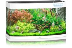 Juwel Vision 180 LED Weiß Aquarium-Set -Aquariumladen = das Beste. 13j9450 Juwel Vision 180 LED weiss Aquarium 2