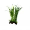 Hobby Flora Root 1, 30 Cm -Aquariumladen = das Beste. 16622 Hobby Flora Root 1 30 cm