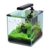 Aquatlantis Aquarienset Nano Cubic 30 LED, Schwarz -Aquariumladen = das Beste. 16a08882 Aquatlantis Nano Cubic 30 schwarz