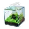 Aquatlantis Aquarienset Nano Cubic 30 LED, Weiß -Aquariumladen = das Beste. 16a08883 Aquatlantis Nano Cubic 30 weiss
