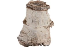 Sera Rock Asian Pagoda XXL • Ca. 6 Kg 5 Sera Rock Asian Pagoda XXL • Ca. 6 Kg -Aquariumladen = das Beste. 32351 Sera Rock Asian Pagoda small bis middle 0 6 1 4 kg 2