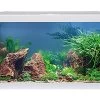 EHEIM Aquastar 54 LED Weiß - Aquarienset 1 EHEIM Aquastar 54 LED Weiß - Aquarienset -Aquariumladen = das Beste. 340646 Eheim aquastar 54 LED weiss 01