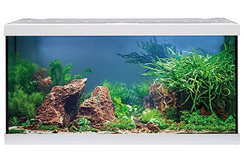 EHEIM Aquastar 54 LED Weiß - Aquarienset 3 EHEIM Aquastar 54 LED Weiß - Aquarienset