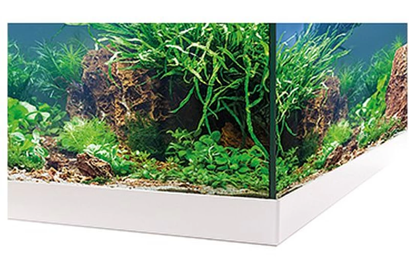 EHEIM Aquastar 54 LED Weiß - Aquarienset 4 EHEIM Aquastar 54 LED Weiß - Aquarienset – Bild 2