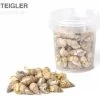 Hausmarke Sea-Snails, Getr. Seewasserschnecken, 250 Ml -Aquariumladen = das Beste. 82336 Hausmarke Sea Snails getrocknete Seewassersch
