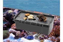 EHEIM Multibox 9 EHEIM Multibox -Aquariumladen = das Beste. 82740 EHEIM Multibox 2