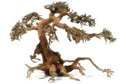 Aquadeco Aqua-Bonsai L, 30-40 Cm -Aquariumladen = das Beste. Aquadeco Aqua Bonsai 3 1