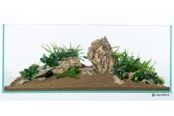 Aquadeco Drachenstein Dekoset Für 60 Cm Aquarium -Aquariumladen = das Beste. Aquadeco Drachenstein Dekoset 3 2