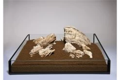 Aquadeco Helle Pagode Dekoset Für 60 Cm Aquarium -Aquariumladen = das Beste. Aquadeco Helle Pagode 1 1