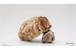 Aquadeco Helle Pagode Dekoset Für 80 Cm Aquarium -Aquariumladen = das Beste. Aquadeco Helle Pagode 3 3