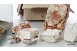 Aquadeco Helle Pagode Dekoset Für 100 Cm Aquarium