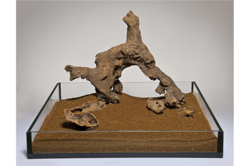 Aquadeco Savannenholz, Gestrahlt, 15-30 Cm (P20) 4 Aquadeco Savannenholz, Gestrahlt, 15-30 Cm (P20) – Bild 2