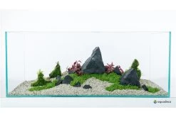 Aquadeco Schwarzer Felsen Dekoset Für 120 Cm Aquarium 8 Aquadeco Schwarzer Felsen Dekoset Für 120 Cm Aquarium -Aquariumladen = das Beste. Aquadeco Schwarzer Felsen Dekoset 2 3