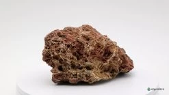 Aquadeco Versteinertes Laub Dekoset Für 100 Cm Aquarium -Aquariumladen = das Beste. Aquadeco Versteinertes Laub 2 3