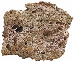 Aquadeco Versteinertes Laub Dekoset Für 100 Cm Aquarium -Aquariumladen = das Beste. Aquadeco Versteinertes Laub 4