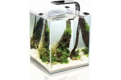 Aquael Shrimp Set Smart 2, 20 Liter, LED Schwarz