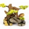 Aquatlantis Bonsai Auf Stein -Aquariumladen = das Beste. Bonsai auf Stein
