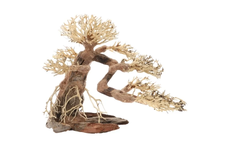 Dupla Bonsai L, Handgemachte Aquariendeko 4 Dupla Bonsai L, Handgemachte Aquariendeko – Bild 2