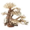 Dupla Bonsai L, Handgemachte Aquariendeko -Aquariumladen = das Beste. Dupla Bonsai L 2
