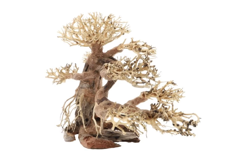 Dupla Bonsai L, Handgemachte Aquariendeko 3 Dupla Bonsai L, Handgemachte Aquariendeko