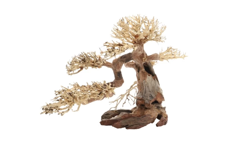 Dupla Bonsai L, Handgemachte Aquariendeko 5 Dupla Bonsai L, Handgemachte Aquariendeko – Bild 3