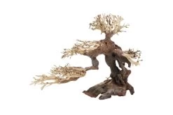 Dupla Bonsai M, Handgemachte Aquariendeko -Aquariumladen = das Beste. Dupla Bonsai M 2