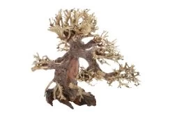 Dupla Bonsai S, Handgemachte Aquariendeko