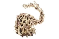 Dupla Wizard Root M, Handgemachte Aquariendeko -Aquariumladen = das Beste. Dupla Wizard Root M 3