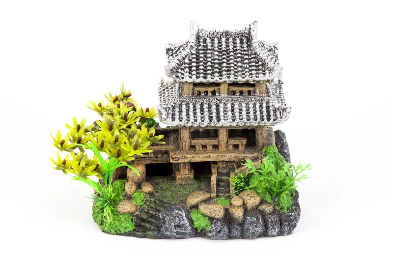 Aquatlantis Haus Asien 3 Aquatlantis Haus Asien