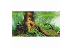Hobby Fotorückwandzuschnitt Pearl River/Deep Delta, 120 Cm X 50 Cm -Aquariumladen = das Beste. Hobby Pearl River Deep Delta Fotorueckwand 3