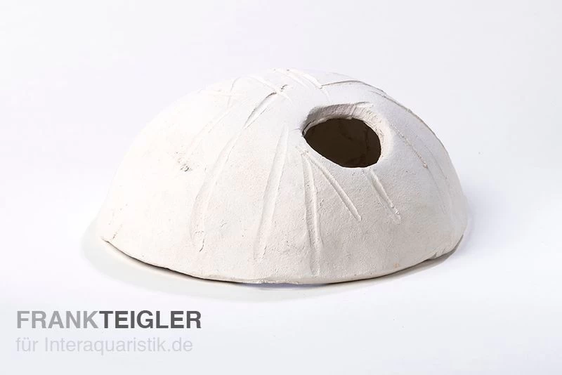 Aquariumkeramik Cichliden Iglu Laichhöhle Weiß 3 Aquariumkeramik Cichliden Iglu Laichhöhle Weiß