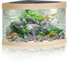 Juwel Aquarium Trigon 190 LED, Helles Holz 1 Juwel Aquarium Trigon 190 LED, Helles Holz -Aquariumladen = das Beste. Juwel Aquarium Trigon 190 LED helles Holz