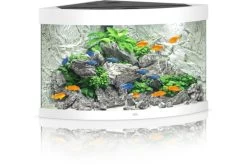 Juwel Aquarium Trigon 190 LED, Weiß