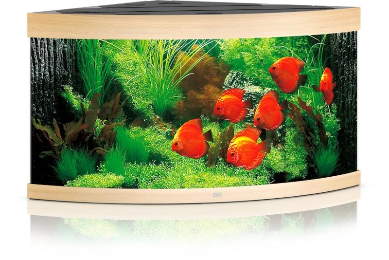 Juwel Aquarium Trigon 350 LED, Helles Holz 3 Juwel Aquarium Trigon 350 LED, Helles Holz