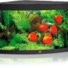 Juwel Aquarium Trigon 350 LED, Schwarz