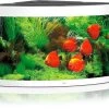 Juwel Aquarium Trigon 350 LED, Weiß 1 Juwel Aquarium Trigon 350 LED, Weiß -Aquariumladen = das Beste. Juwel Aquarium Trigon 350 LED weiss