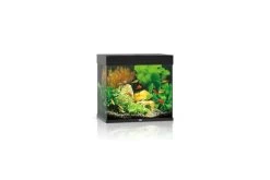 Juwel Lido Aquarium 120 LED, Schwarz